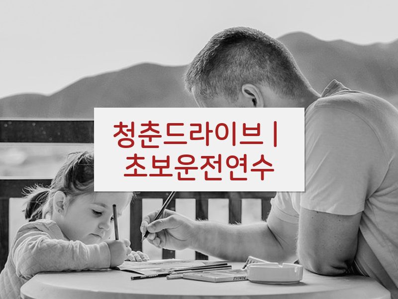 청춘드라이브 | 초보운전연수 후기