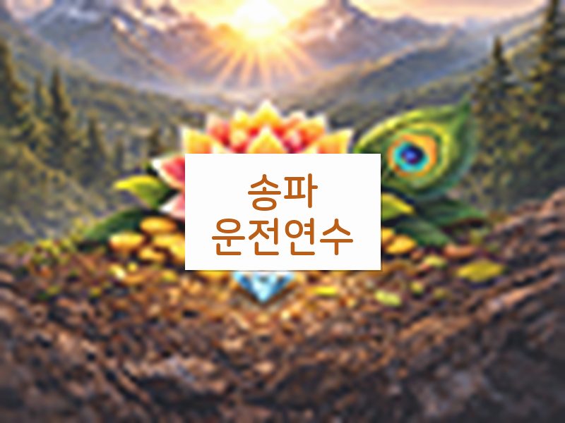 송파운전연수 후기
