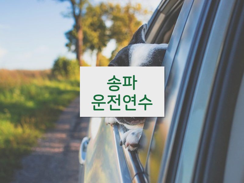 송파운전연수 후기