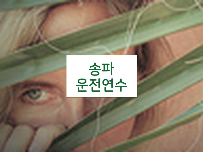 송파운전연수 후기