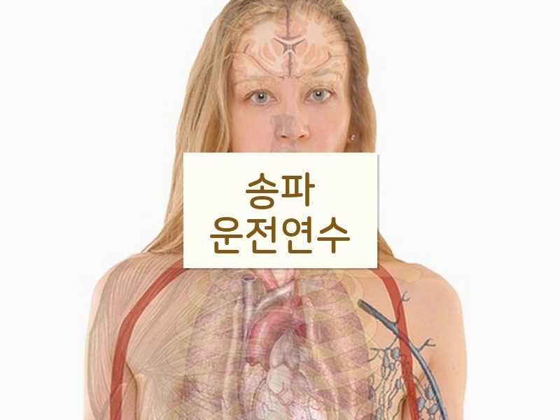 송파운전연수 후기