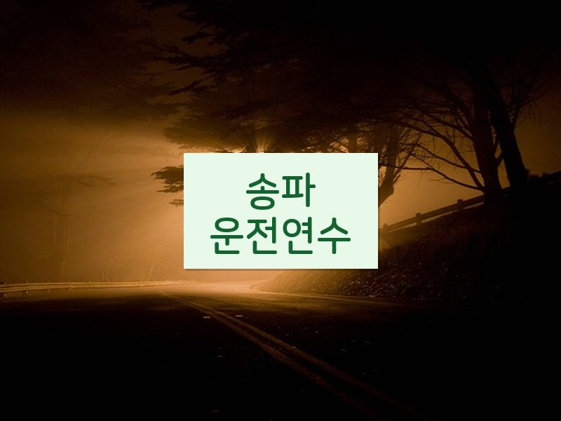 송파운전연수 후기