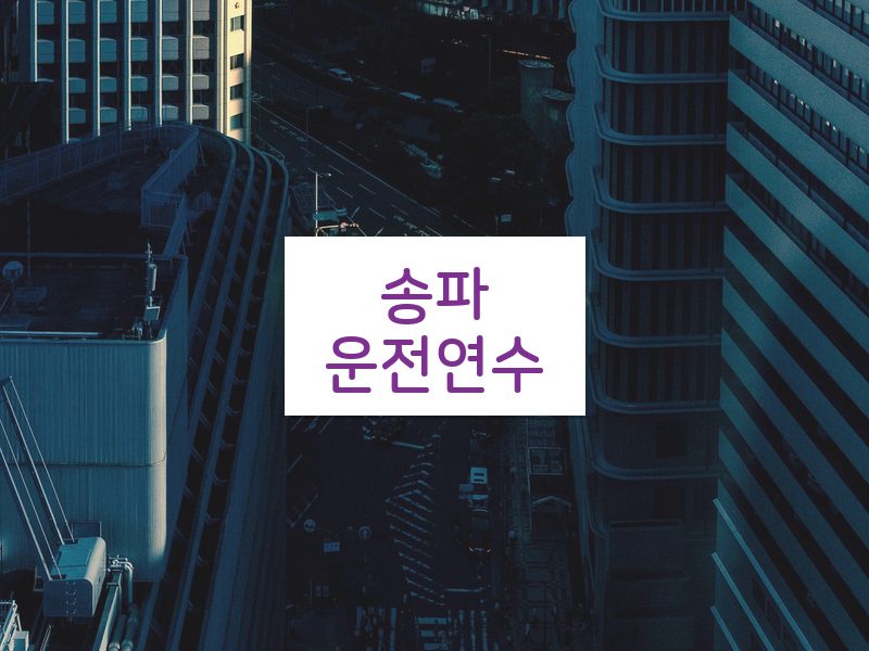 송파운전연수 후기