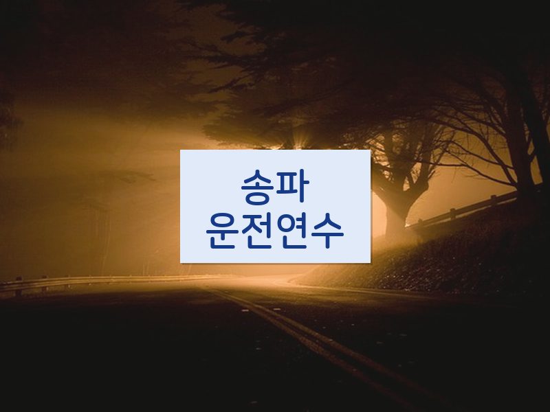 송파운전연수 후기