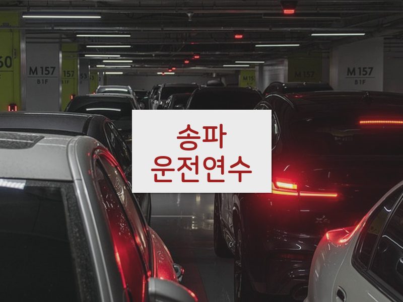 송파운전연수 후기