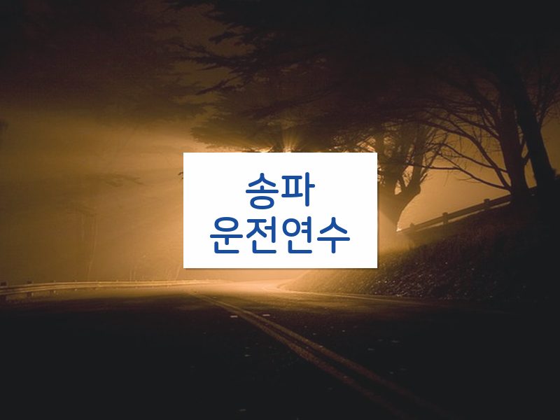 송파운전연수 후기