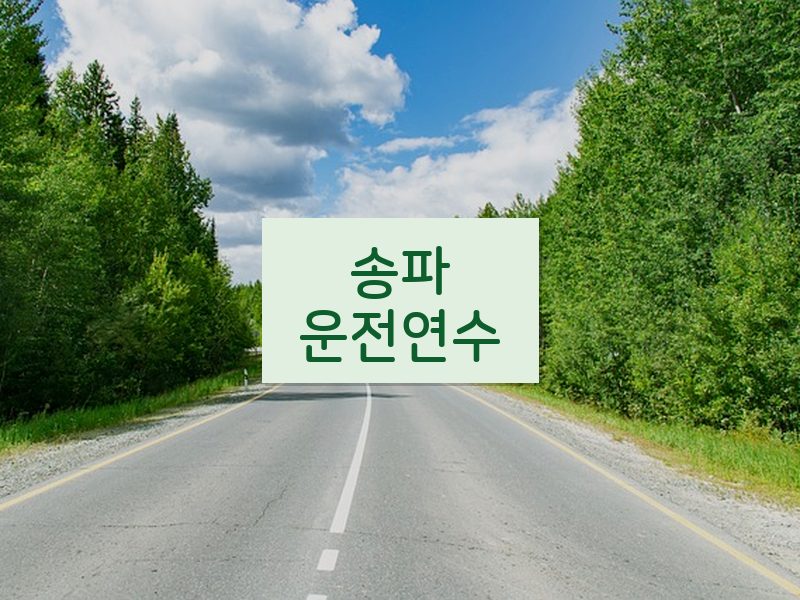송파운전연수 후기