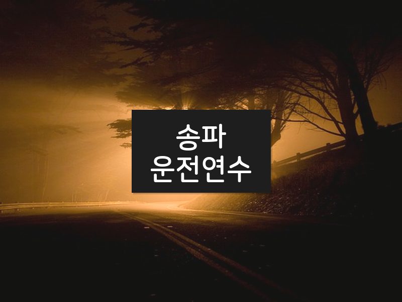 송파운전연수 후기