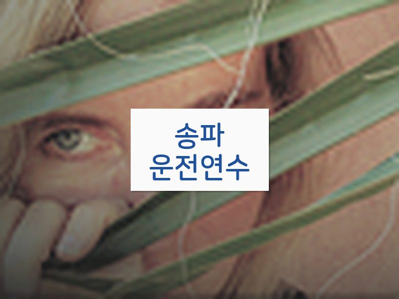 송파운전연수 후기