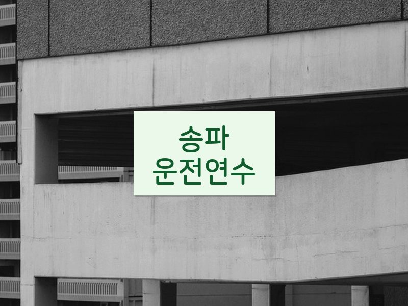 송파운전연수 후기