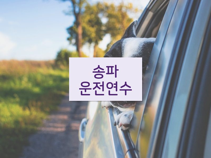 송파운전연수 후기