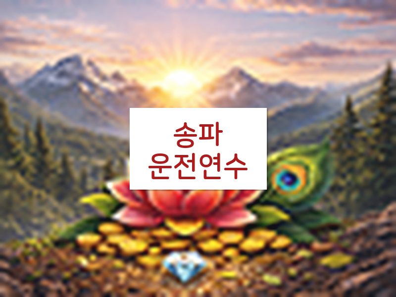송파운전연수 후기