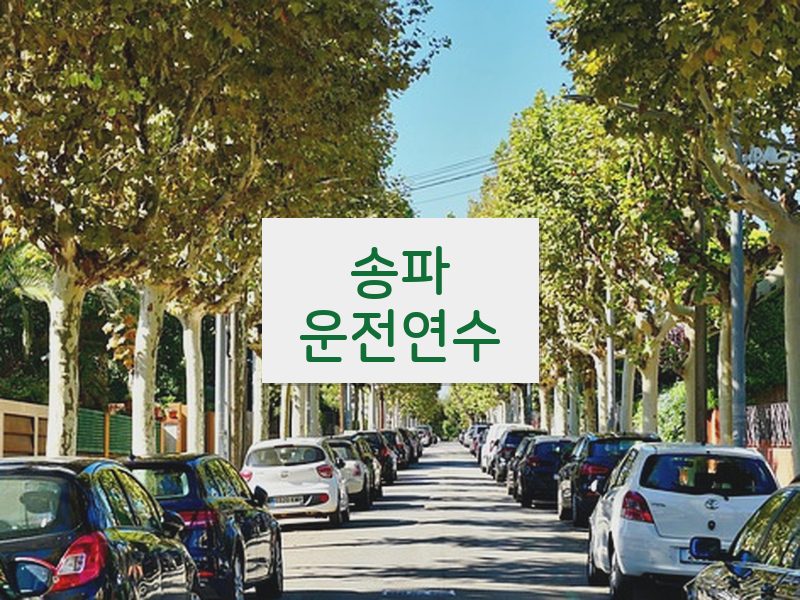 송파운전연수 후기