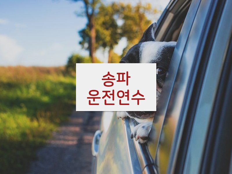 송파운전연수 후기