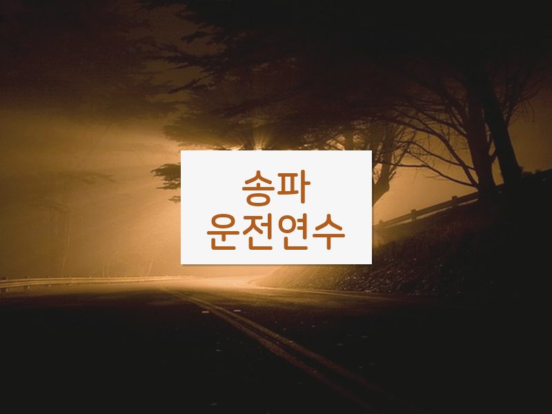 송파운전연수 후기