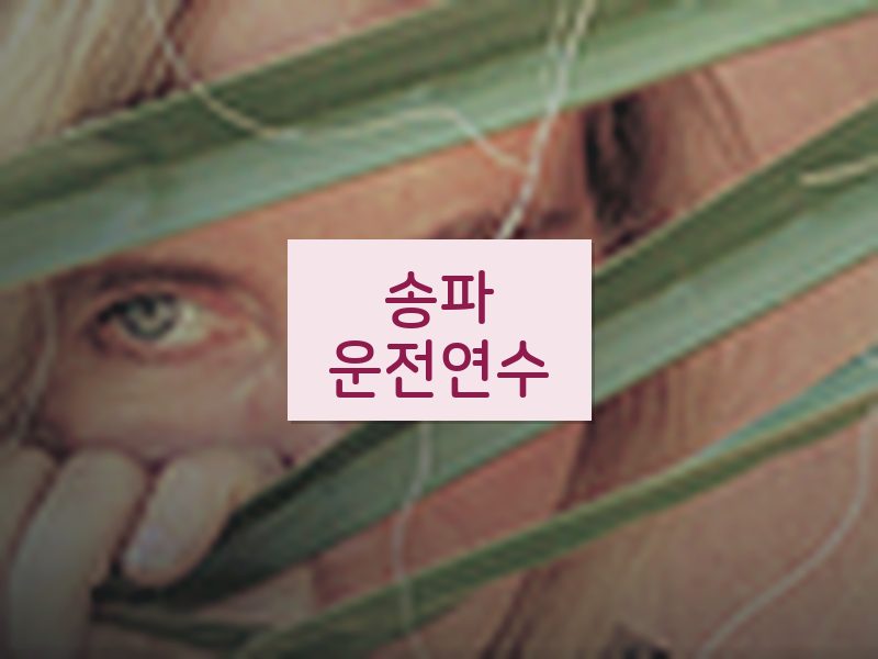 송파운전연수 후기