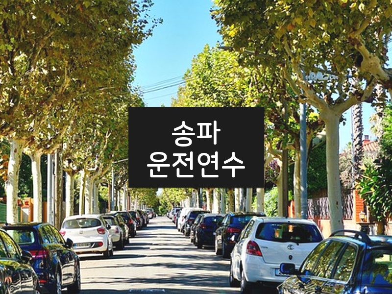 송파운전연수 후기