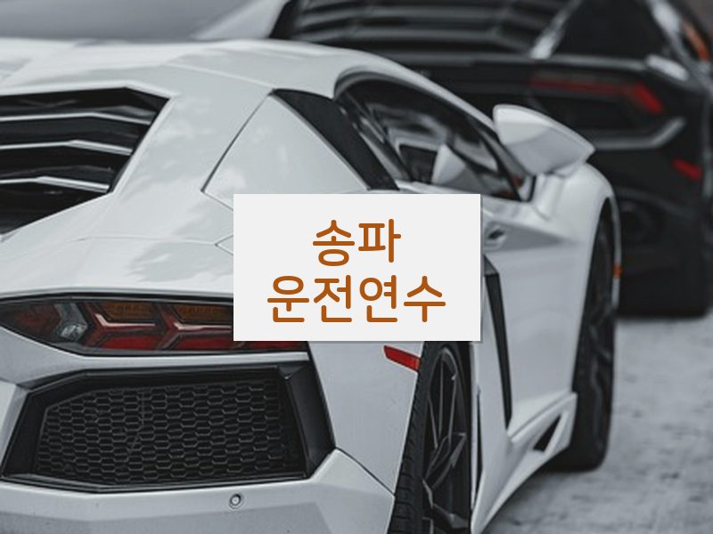 송파운전연수 후기