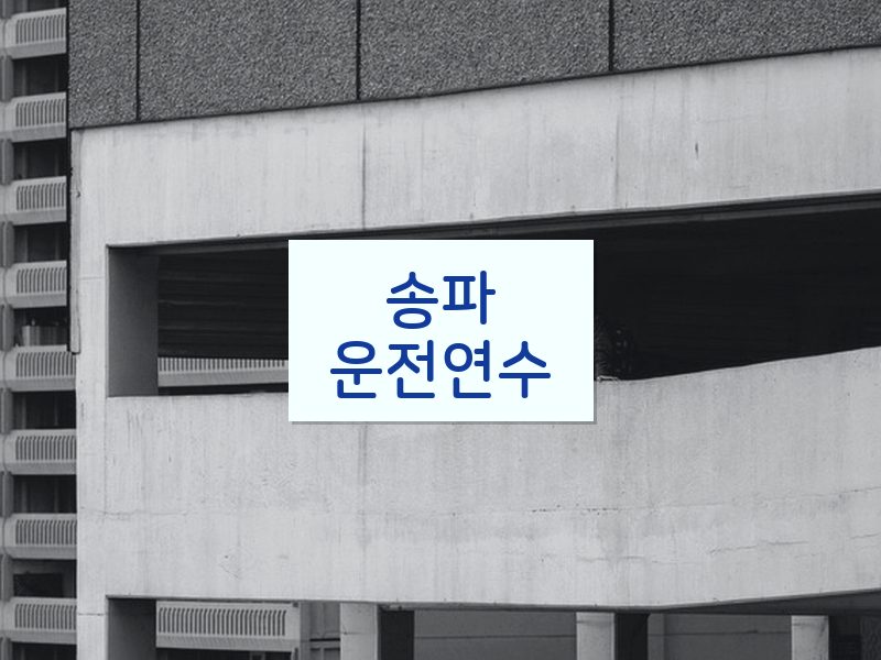 송파운전연수 후기