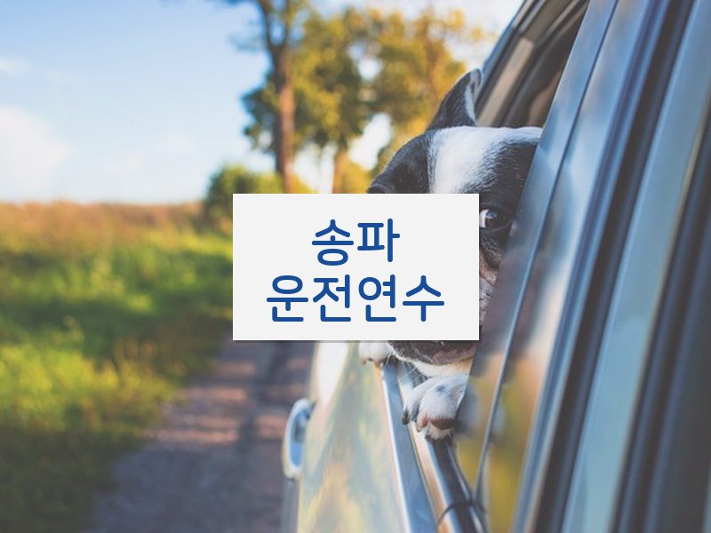 송파운전연수 후기