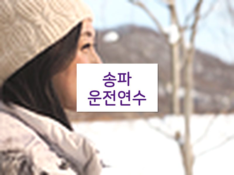 송파운전연수 후기