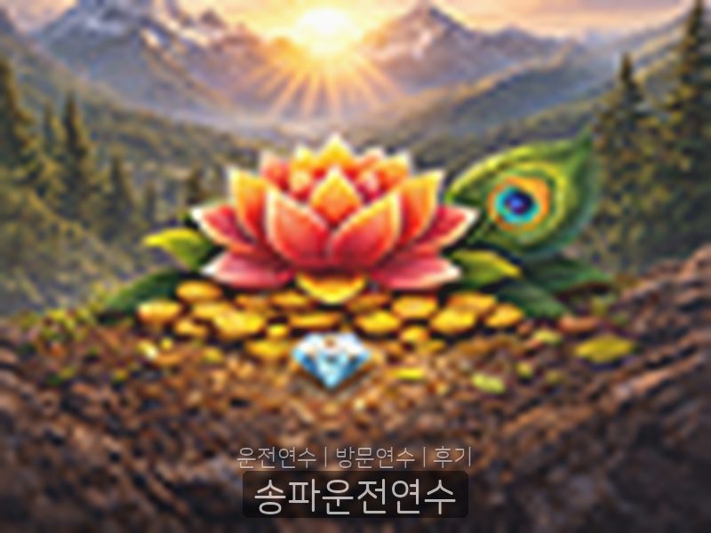 송파운전연수 후기