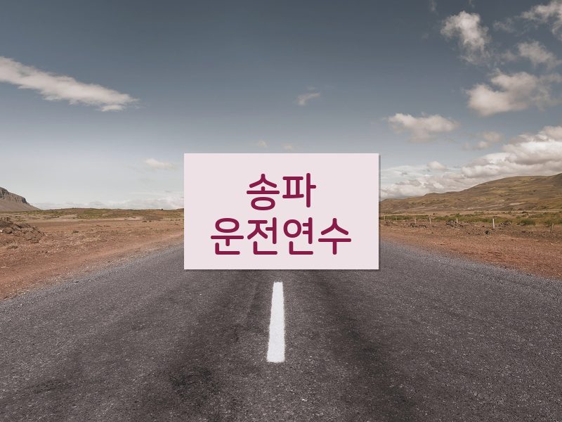 송파운전연수 후기