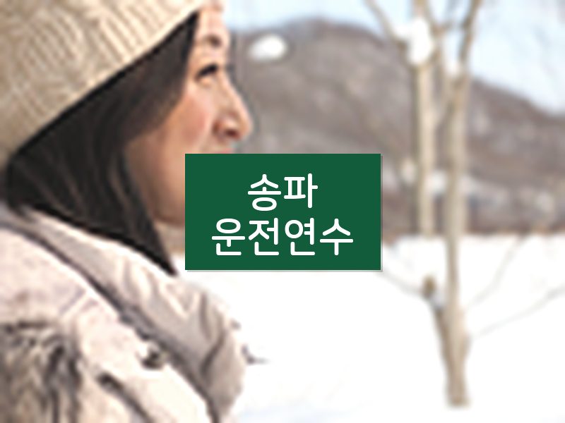 송파운전연수 후기