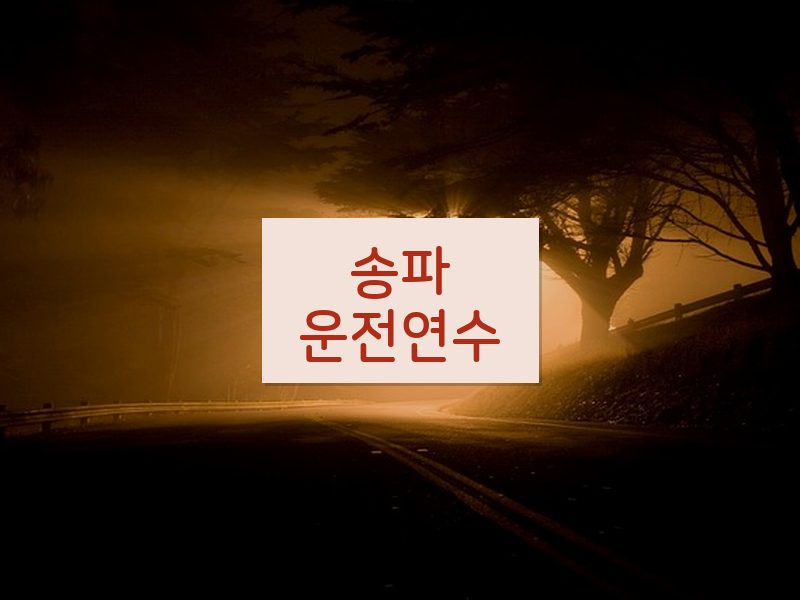 송파운전연수 후기