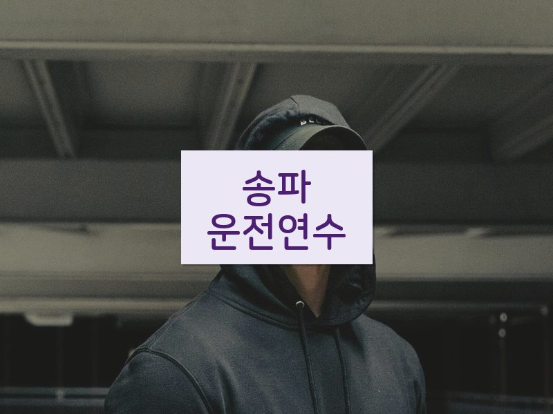 송파운전연수 후기