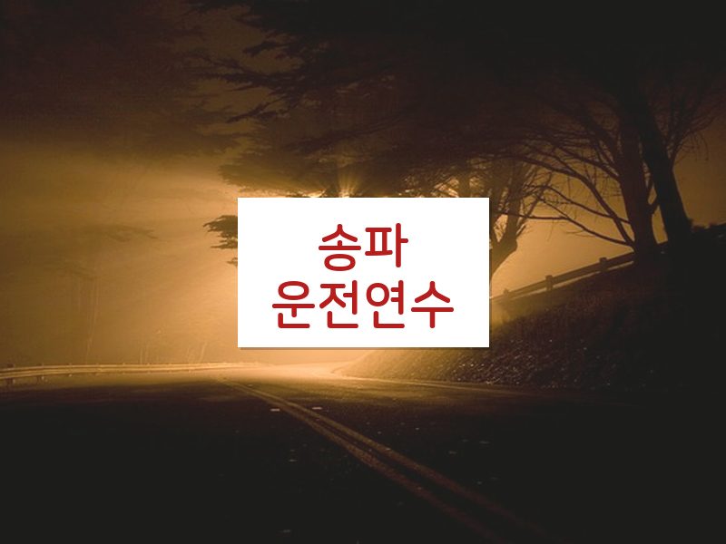 송파운전연수 후기