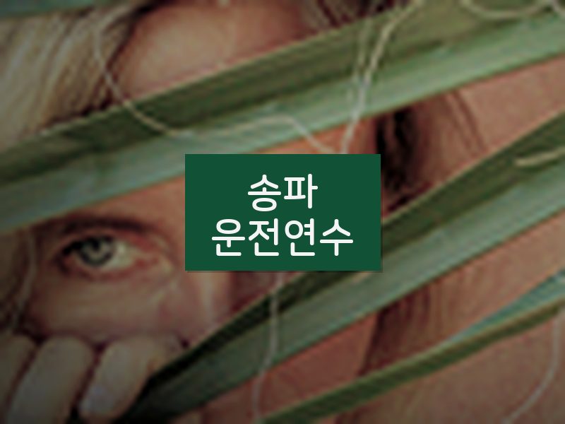 송파운전연수 후기
