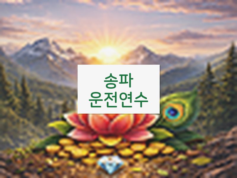 송파운전연수 후기