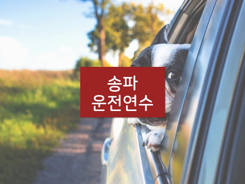 송파운전연수 후기