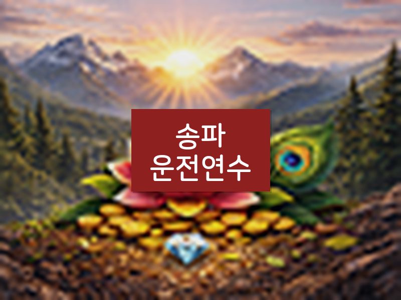 송파운전연수 후기