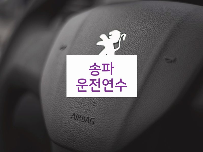 송파운전연수 후기