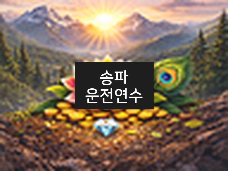 송파운전연수 후기