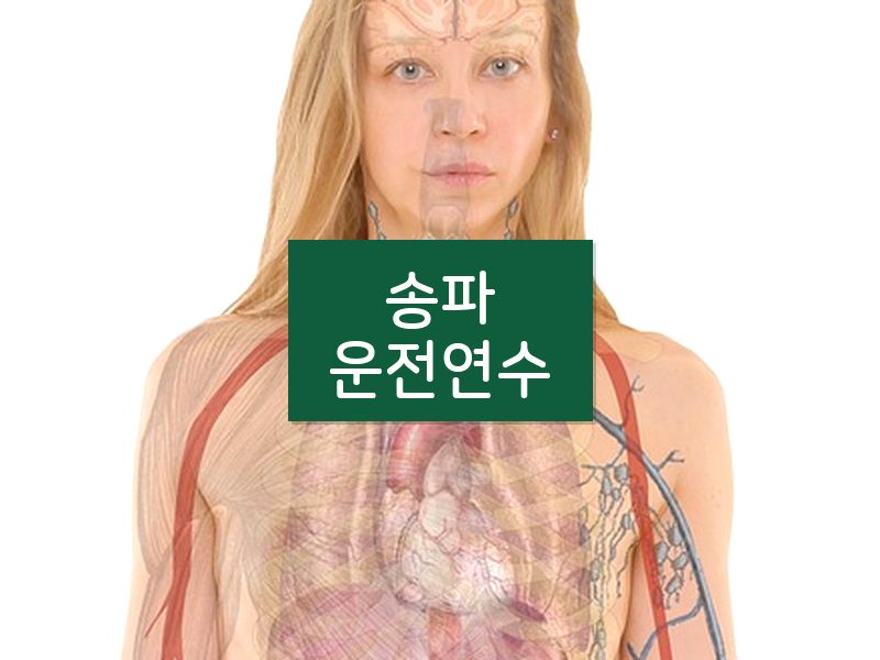 송파운전연수 후기
