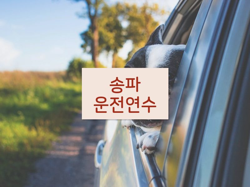 송파운전연수 후기