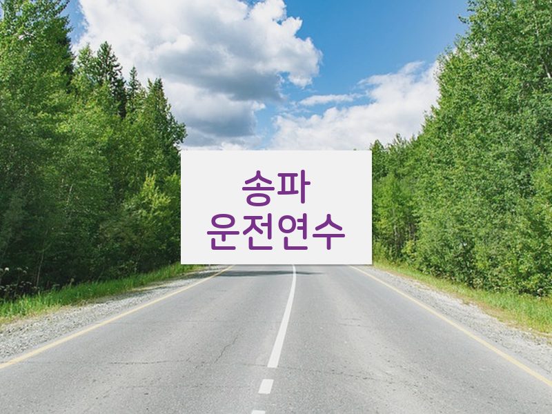 송파운전연수 후기
