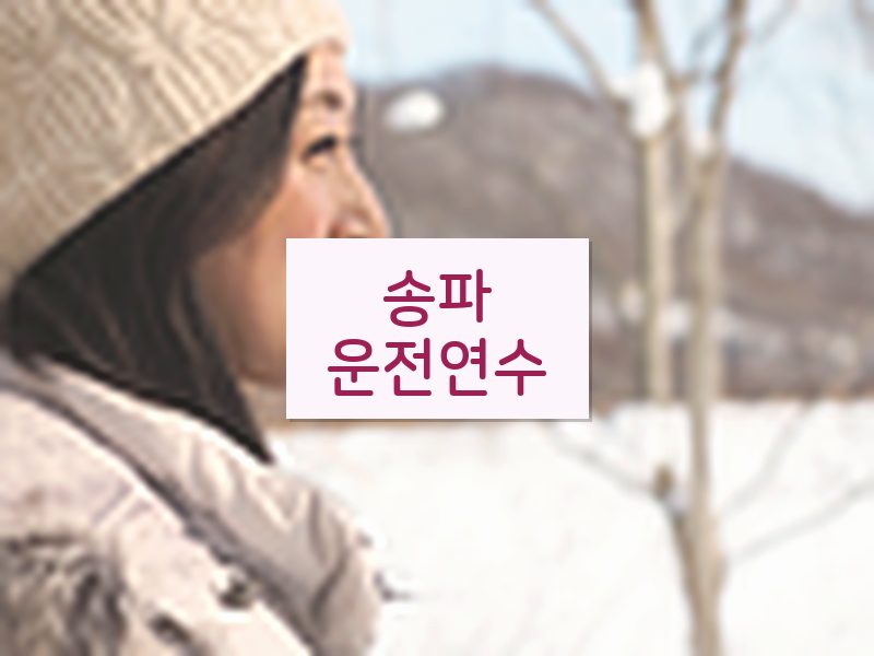 송파운전연수 후기