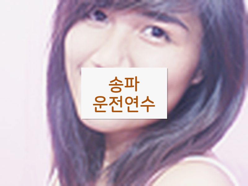 송파운전연수 후기