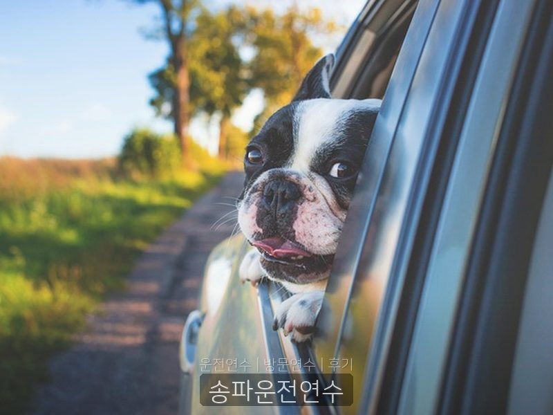 송파운전연수 후기