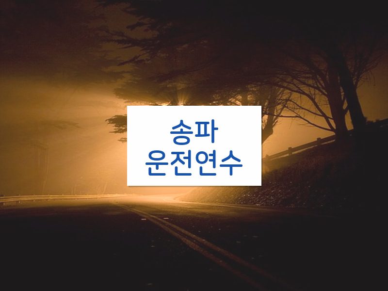 송파운전연수 후기