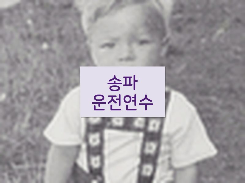송파운전연수 후기