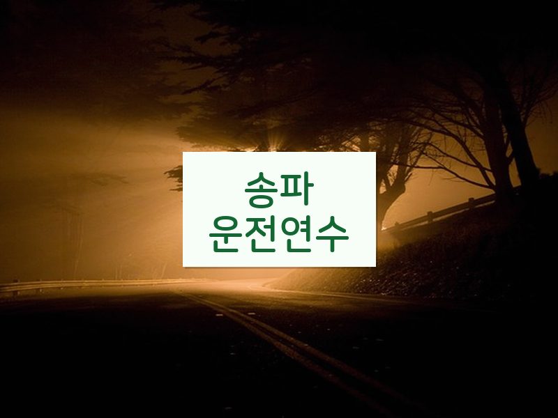 송파운전연수 후기