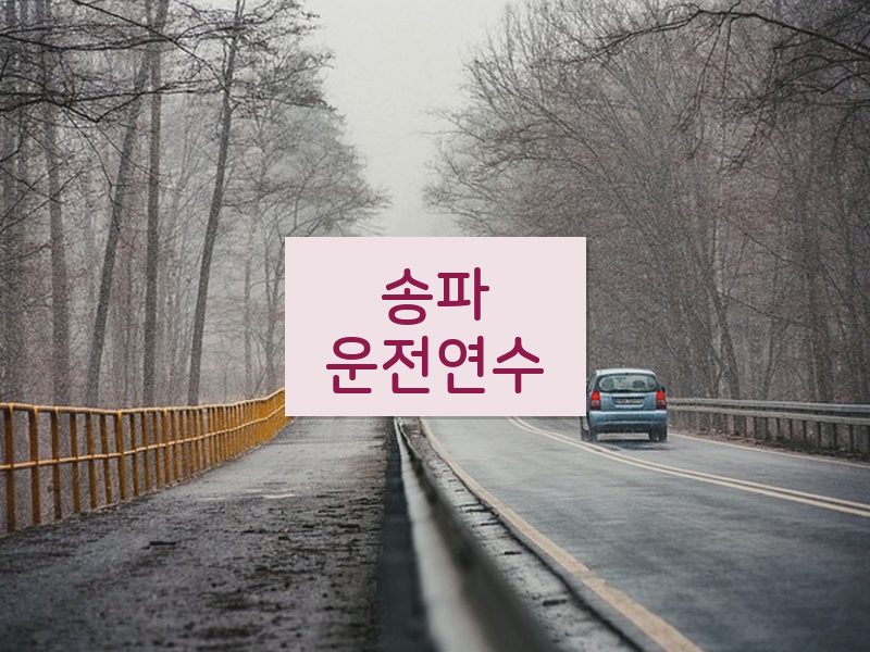 송파운전연수 후기