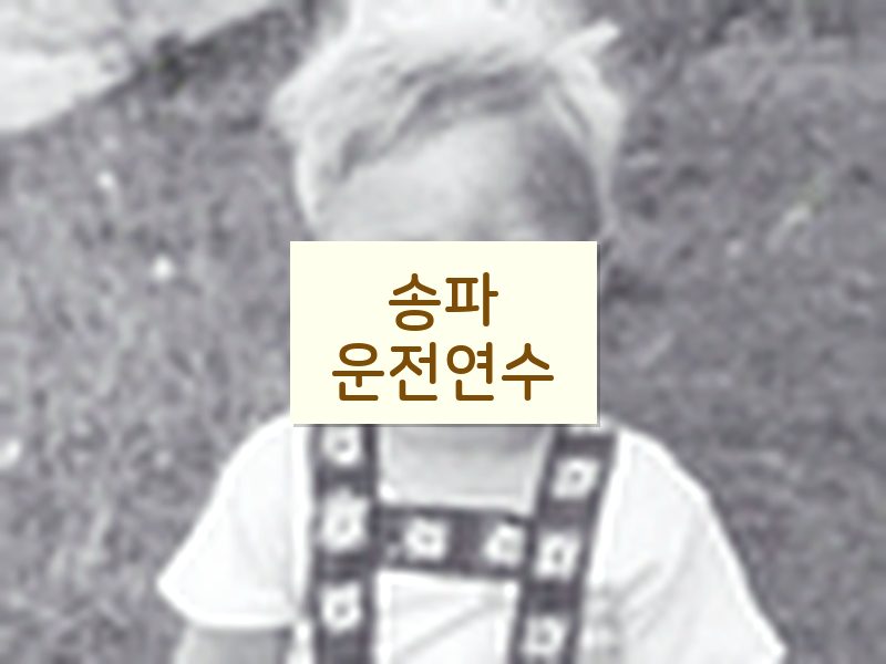 송파운전연수 후기