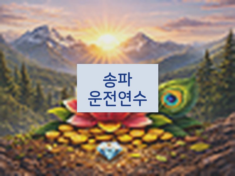 송파운전연수 후기