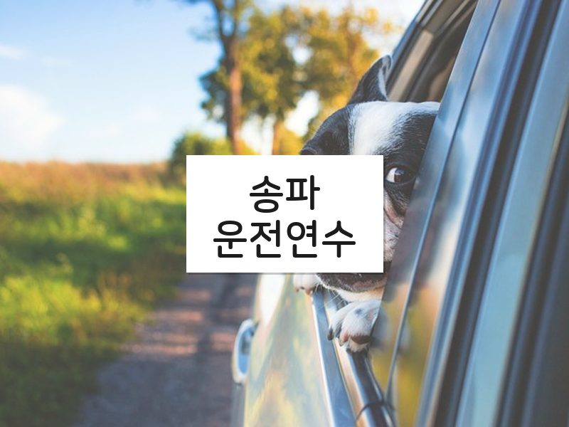 송파운전연수 후기